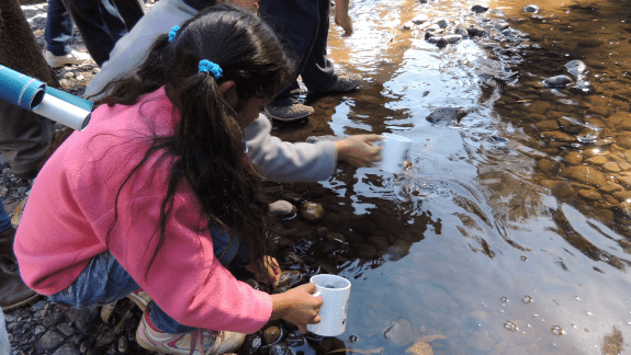 Niña recoge muestras del lago Villarrica con una taza