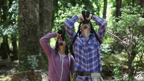 Dos científicos observan aves con binoculares.